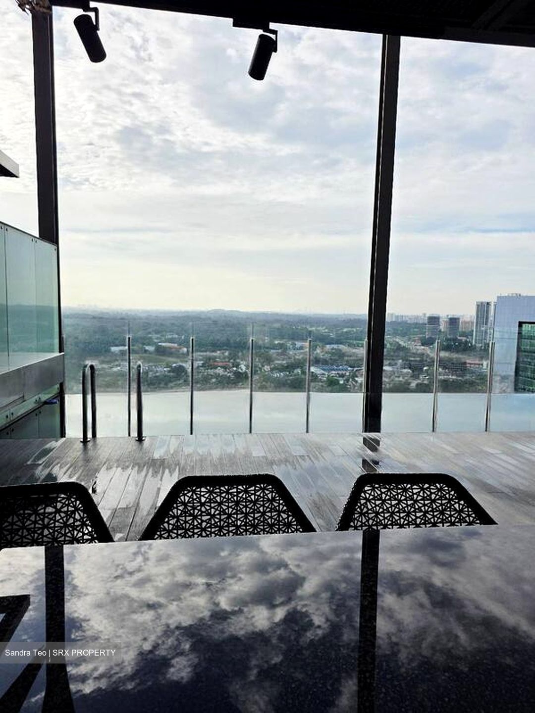 Newton Suites (D11), Apartment #480757111